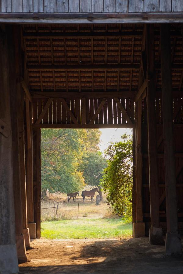 Chambre D'Hotes Fantesstique Berzieux Bagian luar foto